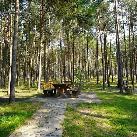 Forest Cottage Neringa Εξωτερικό φωτογραφία