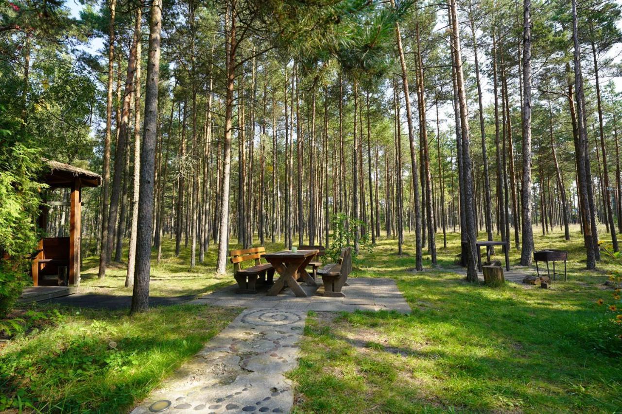 Forest Cottage Neringa Εξωτερικό φωτογραφία