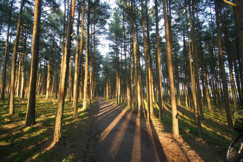 Forest Cottage Neringa Δωμάτιο φωτογραφία